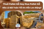 Thuê Pallet Gỗ Hay Mua Pallet Gỗ – Đâu Là Bài Toán Tối Ưu Vốn Lưu Động?