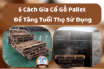 5 Cách Gia Cố Gỗ Pallet Để Tăng Tuổi Thọ Sử Dụng