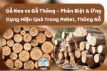 Gỗ Keo vs Gỗ Thông – Phân Biệt & Ứng Dụng Hiệu Quả Trong Pallet, Thùng Gỗ