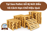 Tại Sao Pallet Gỗ Bị Nứt Đầu Và Cách Hạn Chế Hiệu Quả