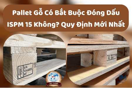 Pallet Gỗ Có Bắt Buộc Đóng Dấu ISPM 15 Không? Quy Định Mới Nhất