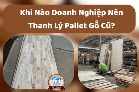 Khi Nào Doanh Nghiệp Nên Thanh Lý Pallet Gỗ Cũ?