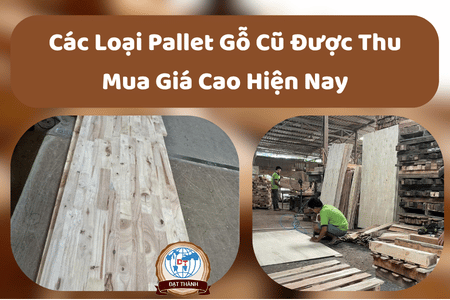 Các Loại Pallet Gỗ Cũ Được Thu Mua Giá Cao Hiện Nay