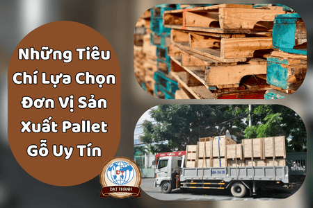 Những Tiêu Chí Lựa Chọn Đơn Vị Sản Xuất Pallet Gỗ Uy Tín