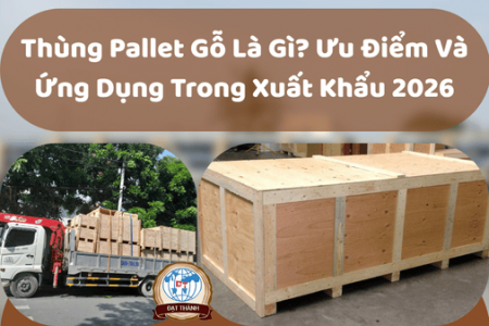 Thùng Pallet Gỗ Là Gì? Ưu Điểm Và Ứng Dụng Trong Xuất Khẩu 2026